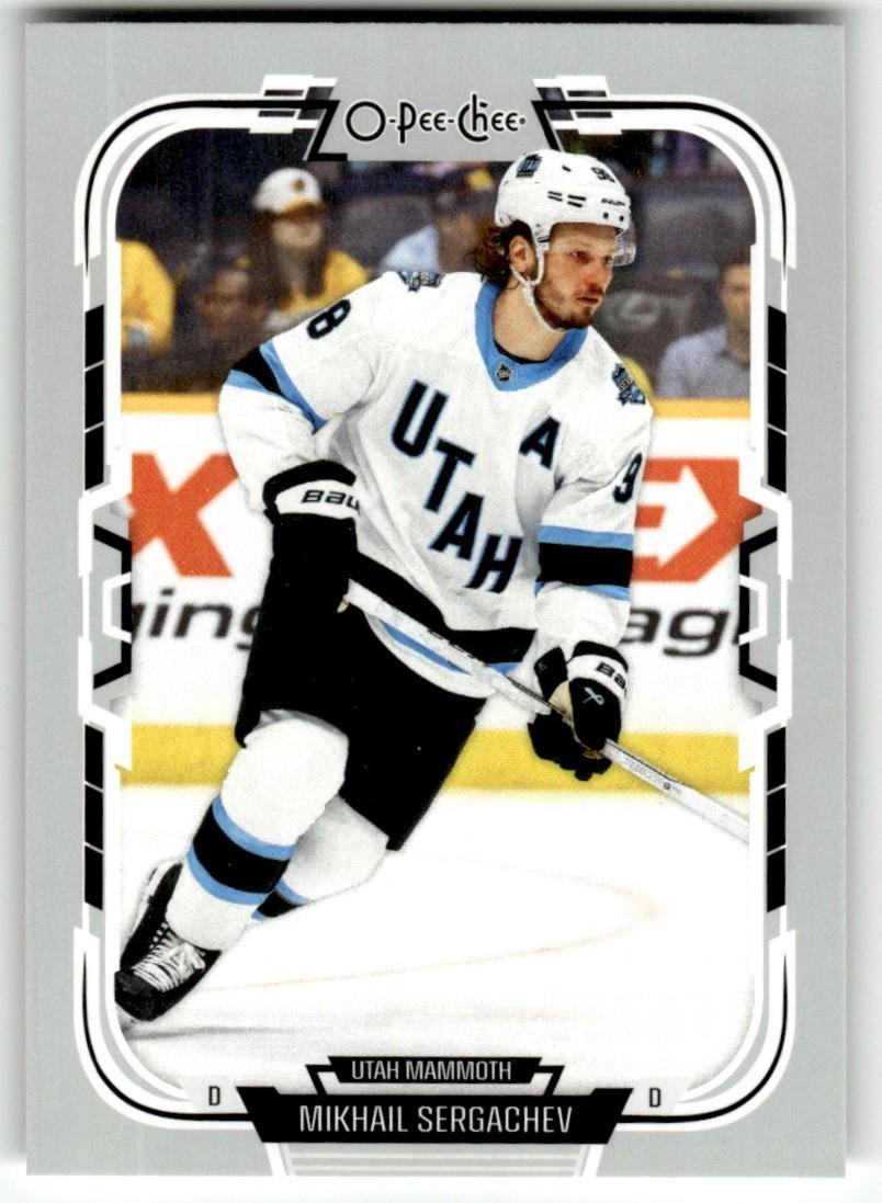 Mikhail Sergachev #225