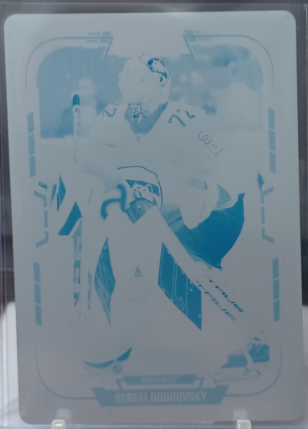 Sergei Bobrovsky [Printing Plate] #267