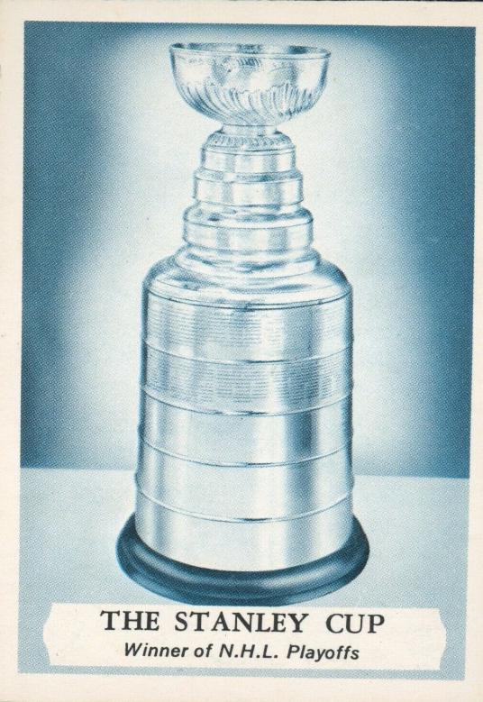 The Stanley Cup #231