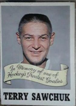 Terry Sawchuk Memorial #231