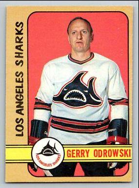 Gerry Odrowski #304