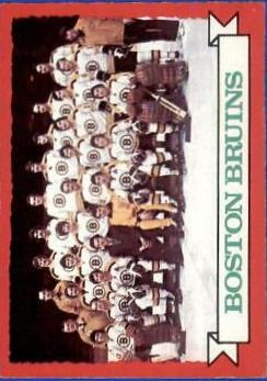Bruins Team #93