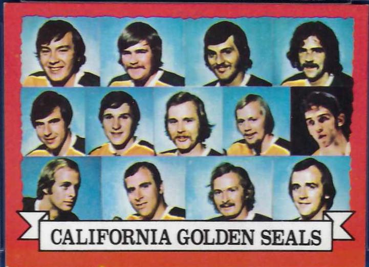 Golden Seals Team #95