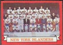 Islanders Team #101