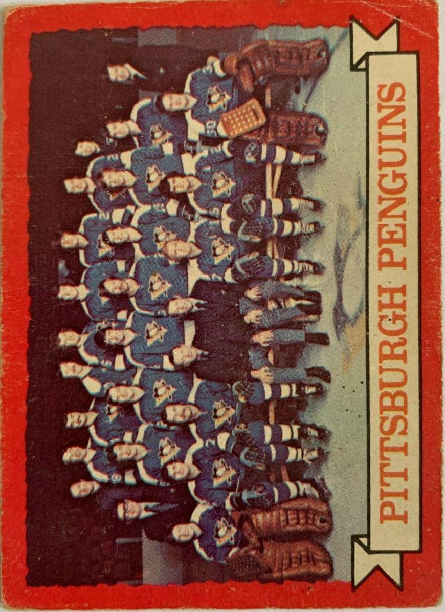 Penguins Team #104