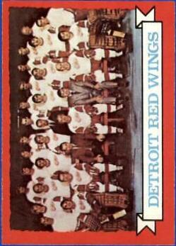 Red Wings Team #97