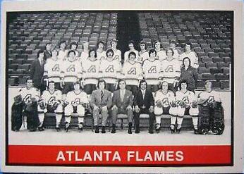 Atlanta Flames [Checklist] #377