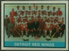 Detroit Red Wings [Checklist] #267