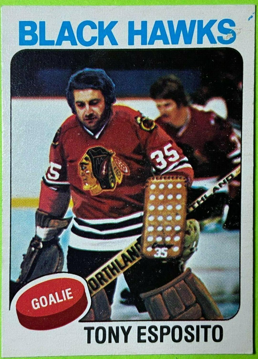 Tony Esposito #240