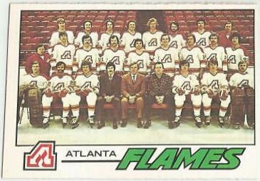Atlanta Flames [Team Checklist] #71