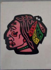 Blackhawks Logo #325