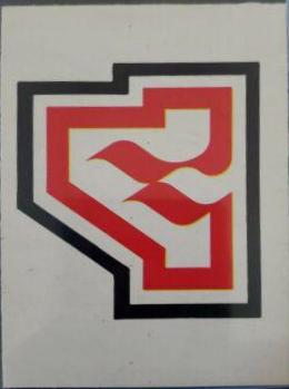 Flames Logo #322