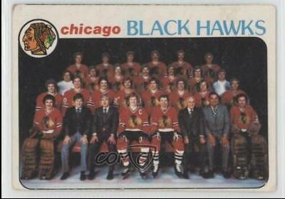 Blackhawks Team #195