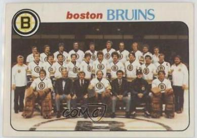 Bruins Team #193