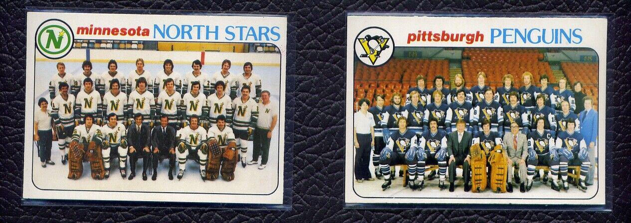 Penguins Team #204