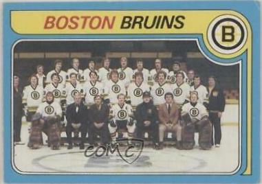 Bruins Team #245