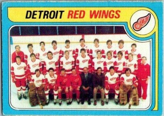 Red Wings Team #249