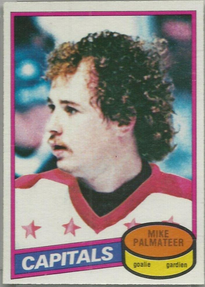 Mike Palmateer #95