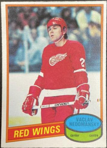 Vaclav Nedomansky #202