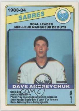 Dave Andreychuk #353