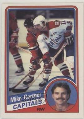 Mike Gartner #197