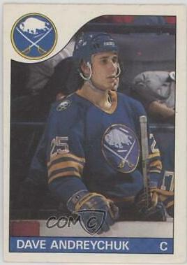 Dave Andreychuk #143