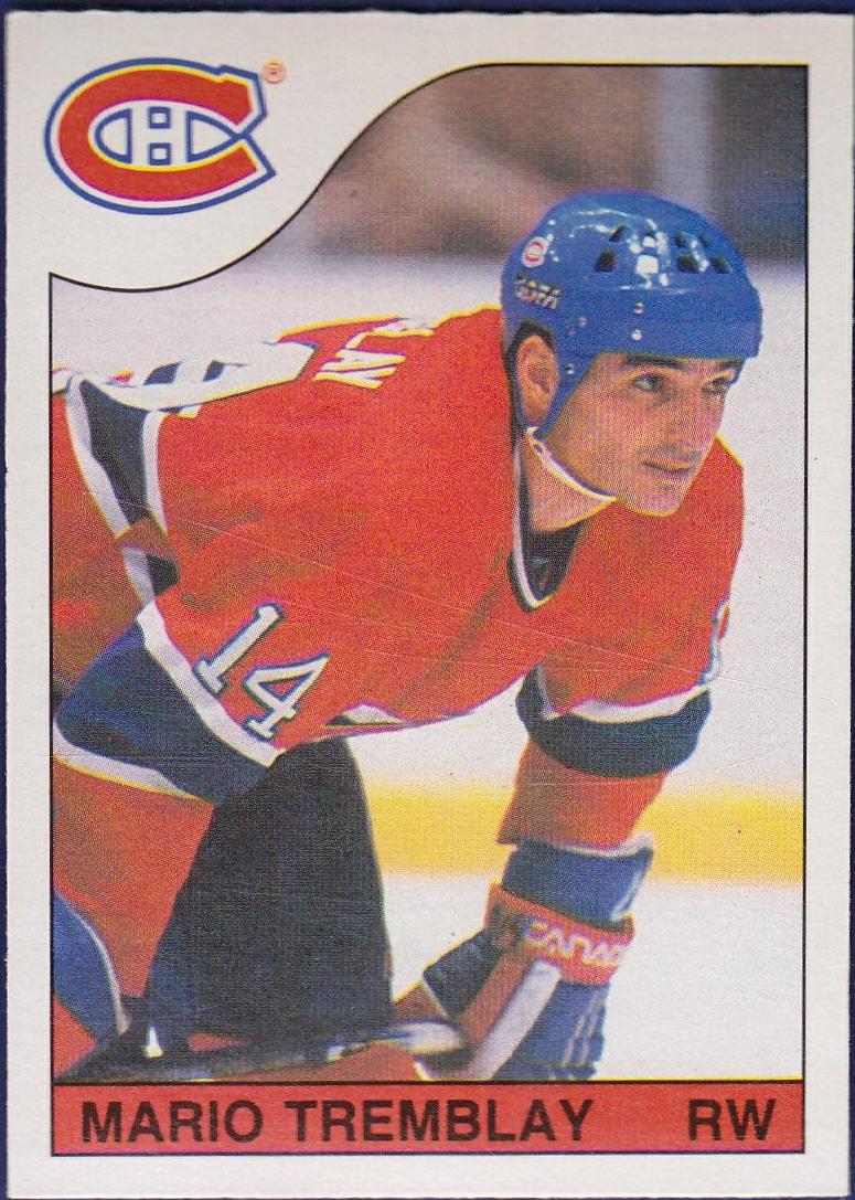 Mario Tremblay #245