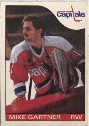 Mike Gartner #46