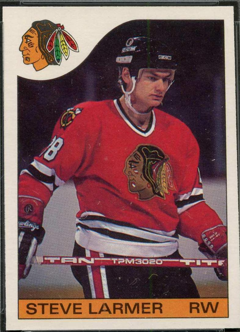 Steve Larmer #132