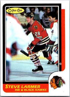 Steve Larmer #139