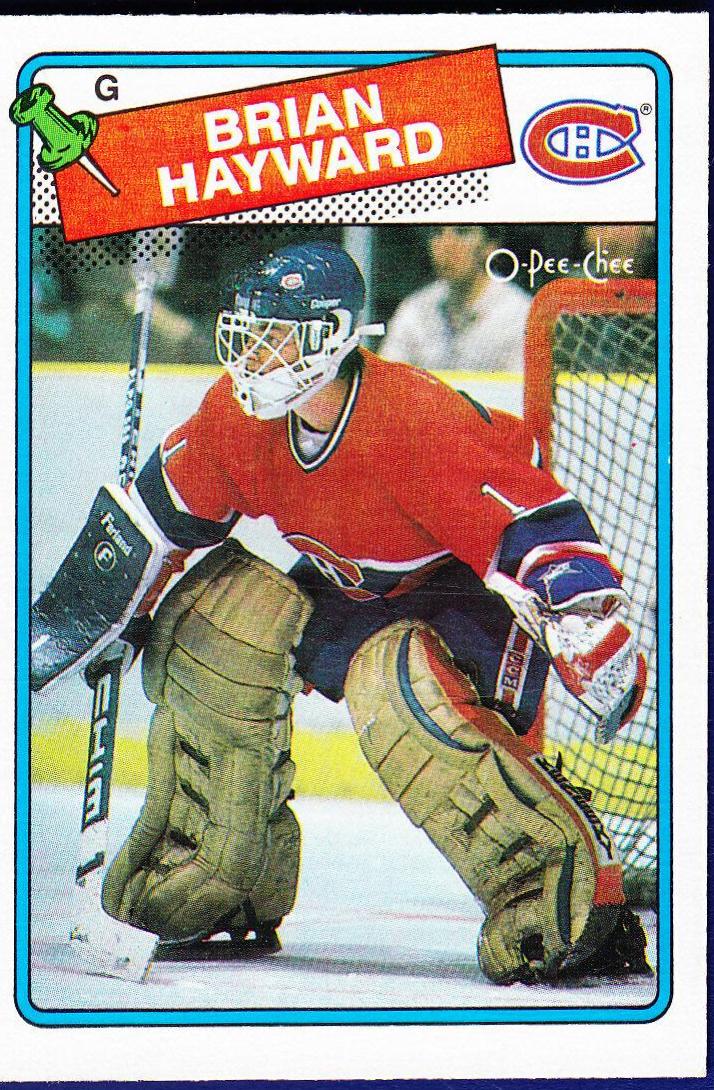 Brian Hayward #195