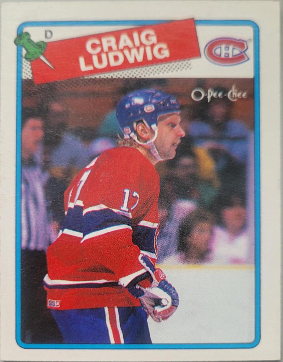 Craig Ludwig #230