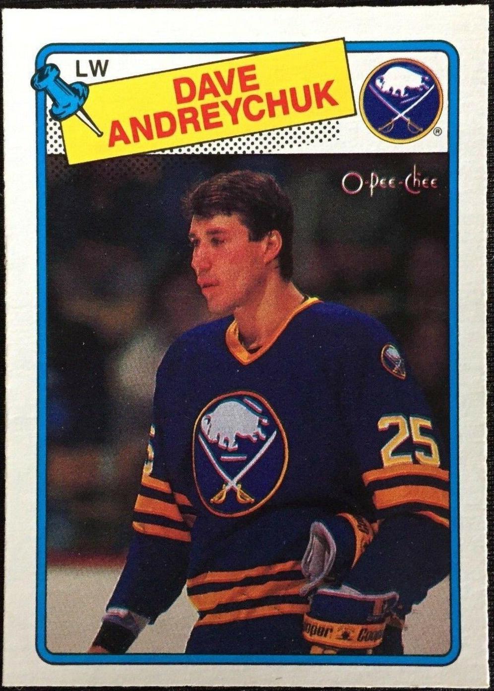 Dave Andreychuk #163