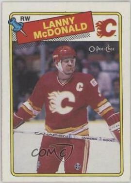 Lanny McDonald #234