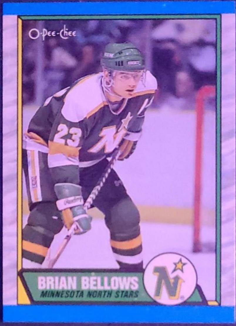 Brian Bellows #177