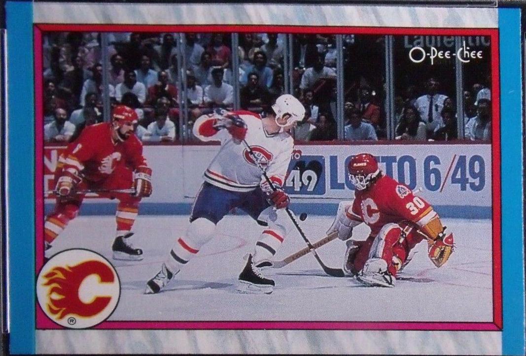 Calgary Flames #300