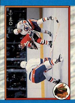 Chicago Blackhawks #301