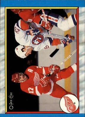 Detroit Red Wings #302