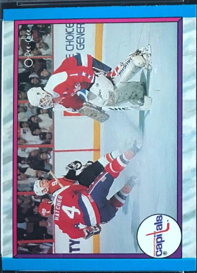Washington Capitals #317
