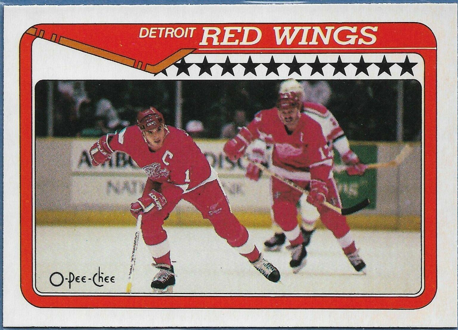 Detroit Red Wings #133