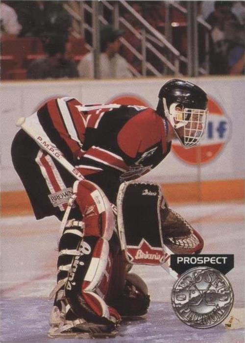 Dominik Hasek #252