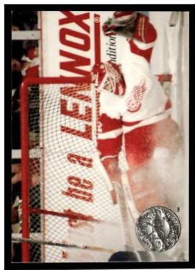 Tim Cheveldae #31