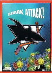 San Jose Sharks [English] #304