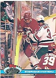 Stephane Matteau #391