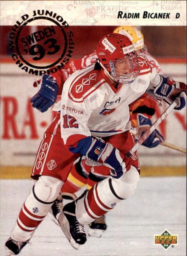 Radim Bicanek #262