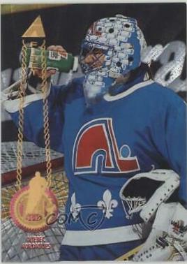 Stephane Fiset [Rink Collection] #102