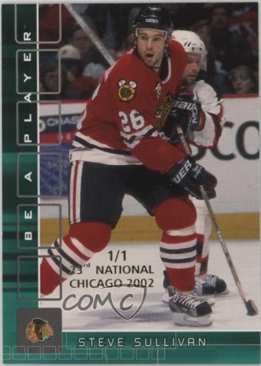 Steve Sullivan #277