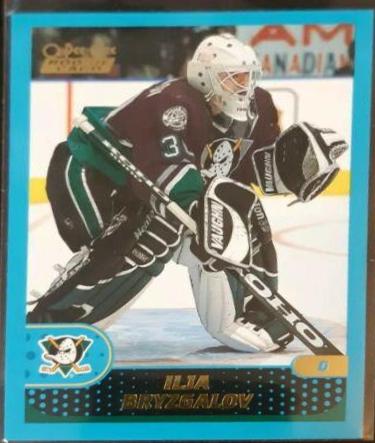 Ilja Bryzgalov #350