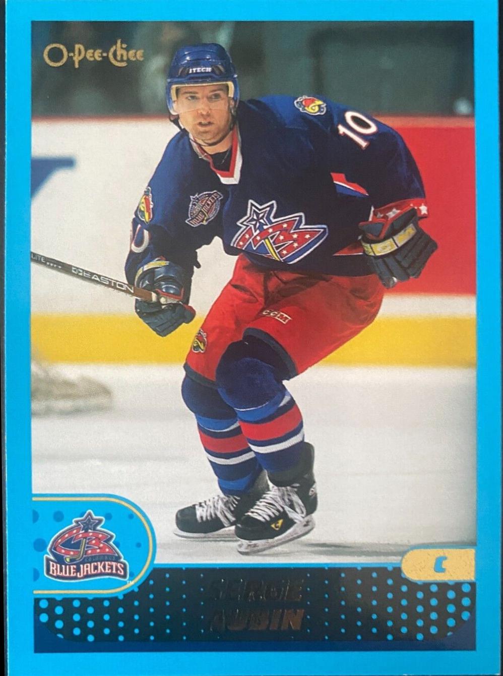 Serge Aubin #211