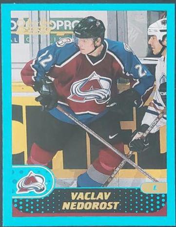 Vaclav Nedorost #333